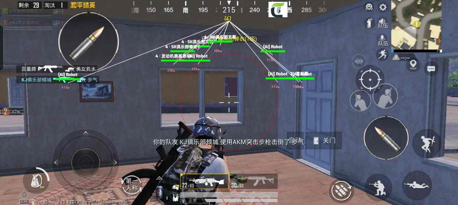 和平精英辅助【飞鸟】